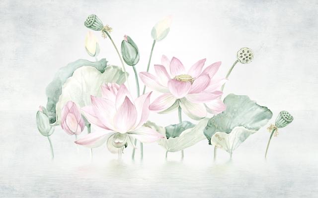  花鳥(niǎo)系列定制 (3)