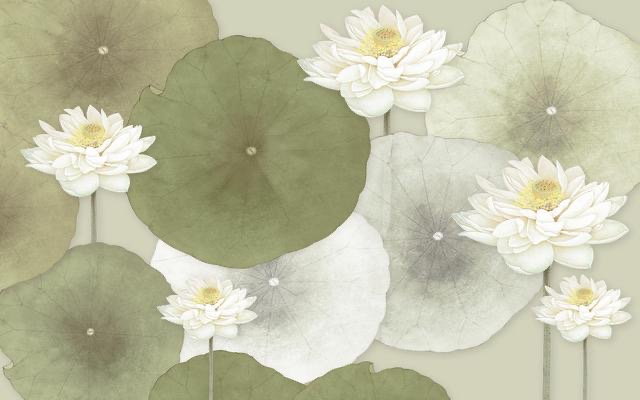  花鳥(niǎo)系列定制 (5)